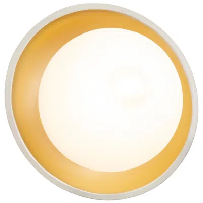 Justice Design Mini Coupe Matte White & Champagne Wall Sconce