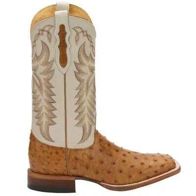 Pre-owned Justin Boots Pascoe Ostrich Square Toe Cowboy Mens Beige, Brown Dress Boots 809