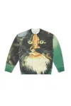 Jw Anderson Cat Printed Jumper