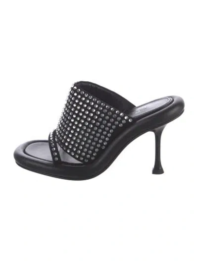Pre-owned Jw Anderson Crystal Crystal Embellishments Slides In Black
