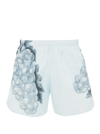 Jw Anderson Grapes Blue Shorts