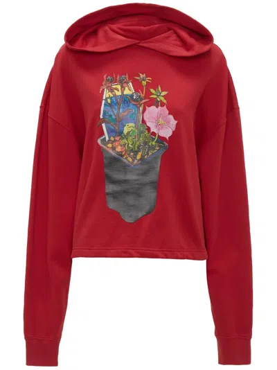 Jw Anderson Graphic-print Organic Cotton Hoodie In Red