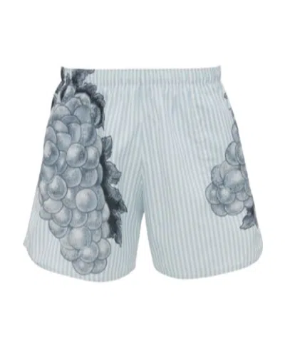 JW ANDERSON JW ANDERSON GRAPE PRINTED STRIPED SWIMSHORT
