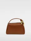 Jw Anderson Handbag  Woman Color Brown In Brown