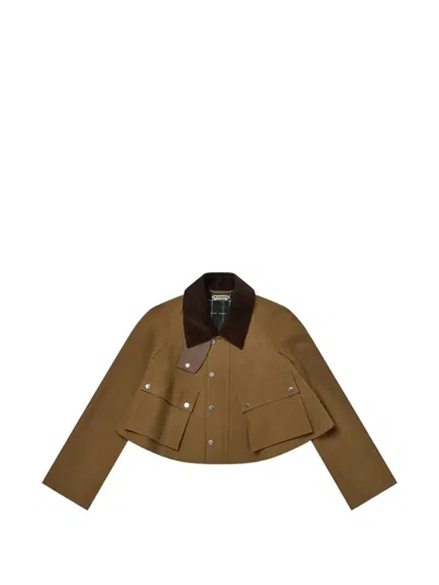 Jw Anderson Corduroy Collar Cropped Jacket In Brown