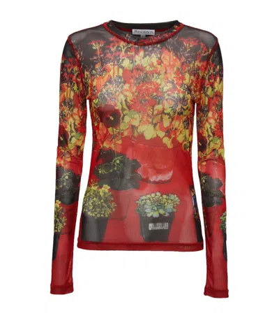 Jw Anderson Mesh Floral T-shirt In Multi