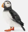 Jw Anderson J.w. Anderson Puffin Clutch Bag In Black