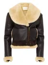 Jw Anderson Mens Dark Brown Oversized-collar Sheepskin Leather Aviator Jacket In Brown