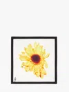 JW ANDERSON JW ANDERSON SILK SCARF - SUNFLOWER PRINT