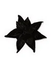 Jw Anderson Velvet Poinsettia Brooch In Black
