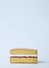 Jw Anderson Victoria Sponge Multicolor Clutch With Magnetic Closure In Resin Woman In Brown