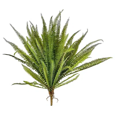 K & K Interiors Boston Fern Bush In Green