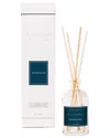 K. Hall Designs Shoreline Diffuser Kit In Clear