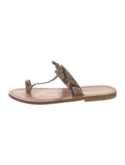 Pre-owned K Jacques St. Tropez Snakeskin Slides In Brown