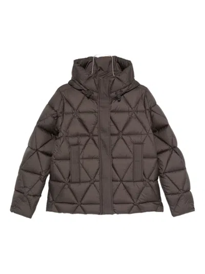 K-way Quilted Black And Green Down Coat In Brown