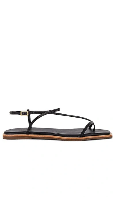 Kaanas Alayta Square-toe Strappy Sandal In 黑色