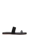 Kaanas Banderas Toe Ring Sandals Black In 黑色