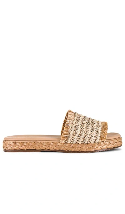 Kaanas Conchal Sandal In Natural