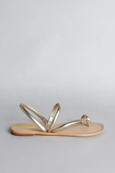 Kaanas Kaanaz Aztec Strappy Sandals In Gold
