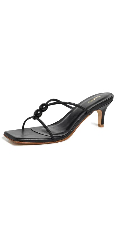 Kaanas Sorella Sandals Black