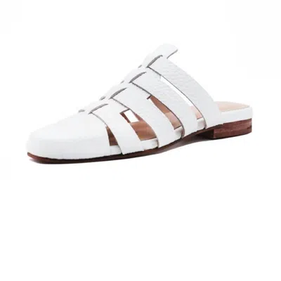 Kaanas Women's Antilles Gladiator Mule In White