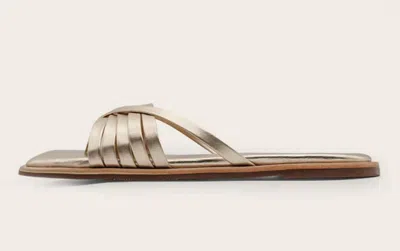 Kaanas Women's Makian Thong Sandal In Gold
