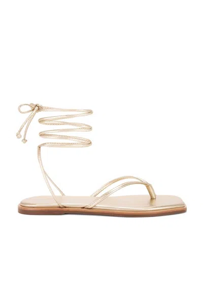 Kaanas Women's Samoa Wrap Around Sandal In Gold