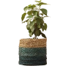 Kadam Haat Babui Eco-pot In Indigo