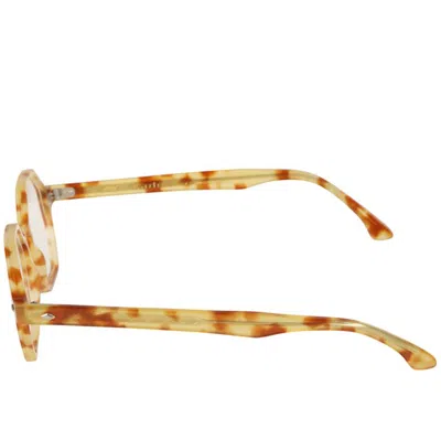 Kador Octagon610330 In Brown