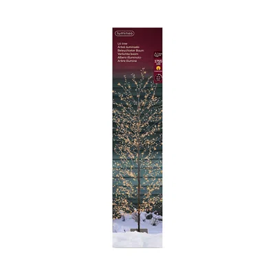 Kaemingk Micro Led Lighted Tree In Multi