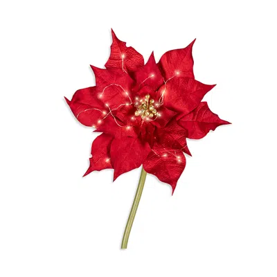 Kaemingk Velvet Poinsettia Led Flower In Red