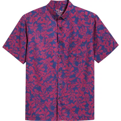 Kahala Tide Pool Short Sleeve Button-up Shirt In Pink