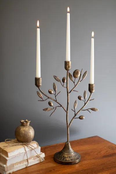 Kalalou Antique Brass Fruit Tree Taper Candelabra