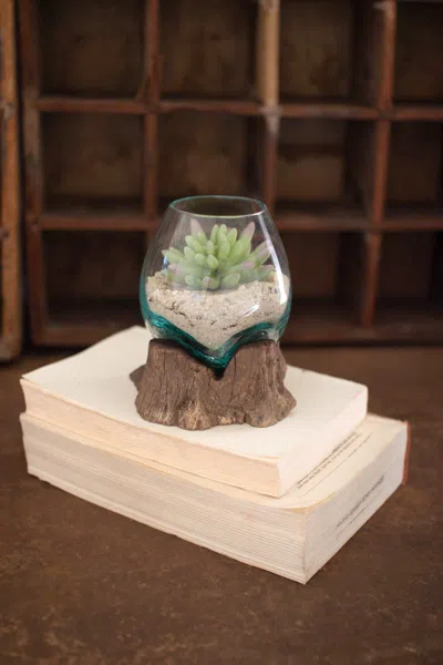 Kalalou Blown Glass Bowl On Driftwood Base - Small In Neutral