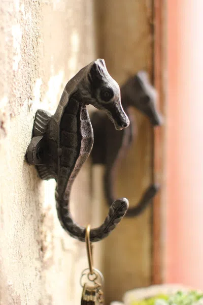 Kalalou Cast Iron Sea Horse Hook