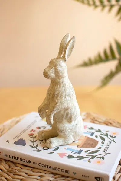 Kalalou Cast Iron Standing Rabbit