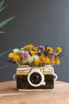 Kalalou Ceramic Camera Planter In Multi
