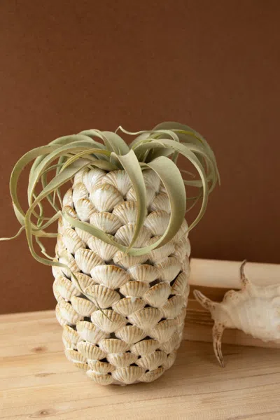 Kalalou Ceramic Shells Vase In Neutral