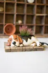 Kalalou Ceramic Sleeping Beagle Planter
