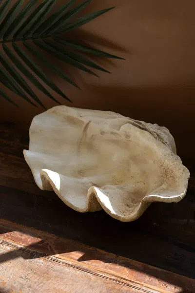 Kalalou Giant Resin Clam Shell