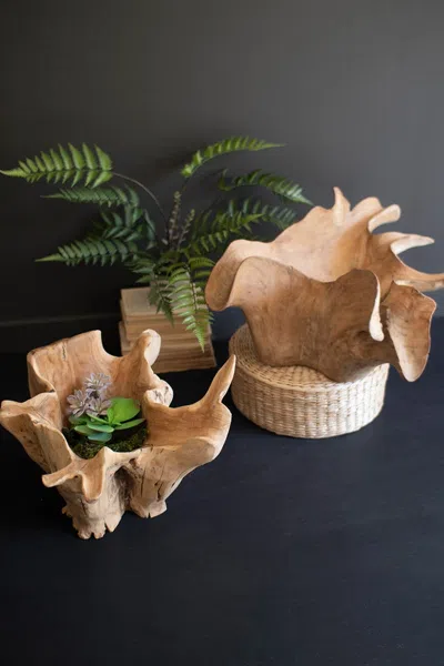 Kalalou Hand-carved Blooming Teak Root Bowl