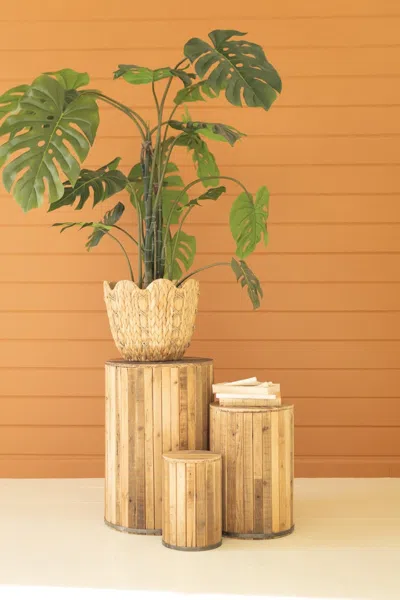 Kalalou Set Of Three Round Recycled Wood Pedestasls In Brown