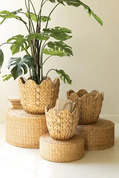 Kalalou Set Of Three Water Hyacinth Baskets With Wavy Rims In Brown