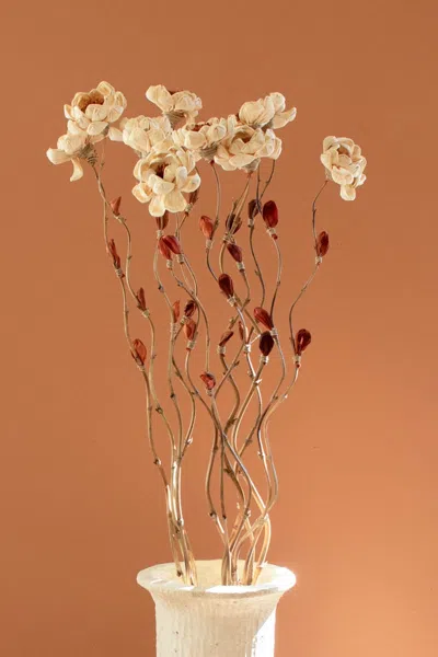 Kalalou Set Of Twelve Dried Flowers On A Bamboo Stem