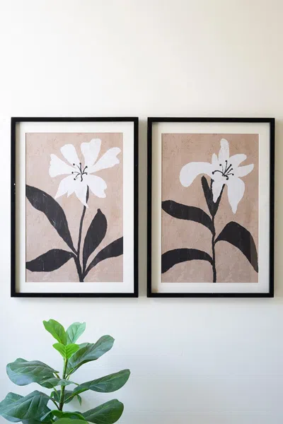 Kalalou Set Of Two Framed Flower Prints Under Glass