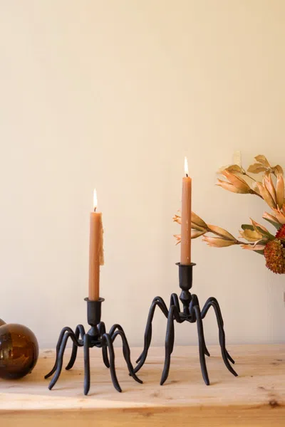 Kalalou Set Of Two Spider Taper Candle Holders In Black