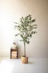 Kalalou Tall Artificial Olive Tree In A Black Plastic Pot