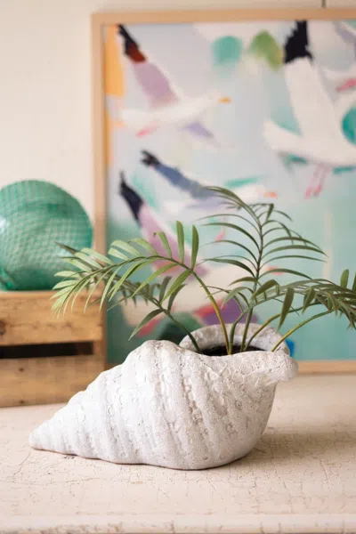 Kalalou Terracotta Conch Shell Planter - White Glaze