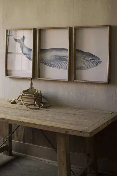 Kalalou Triptych Framed Whale Print Under Glass