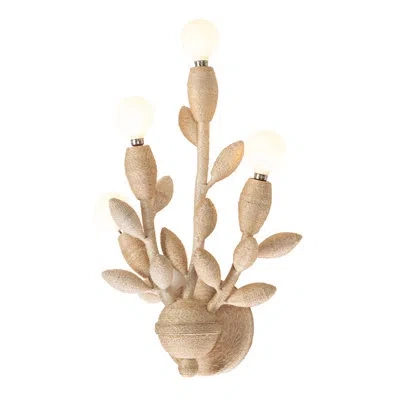 Kalco Branche 4 Lt Warm Ivory Wall Sconce  In Natural